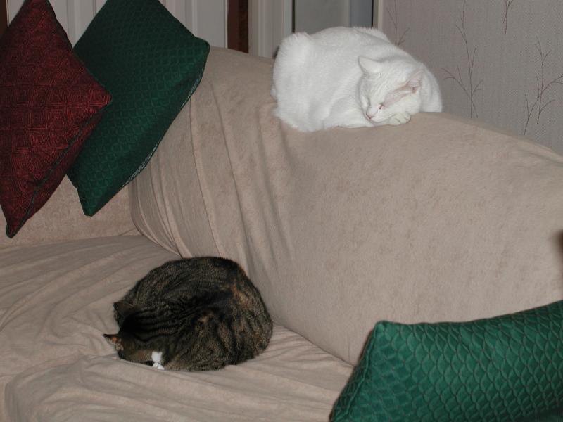 Miss Sarah and Mr. Dempsey sort of sleeping together.