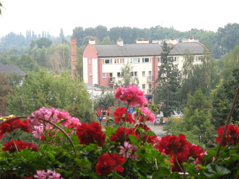 Photo taken over the balcony garden of an apartment building behind.